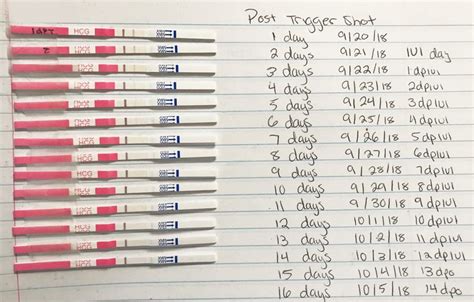 10 Days Late Pregnancy Symptoms But Negative Test Pregnancy Sympthom