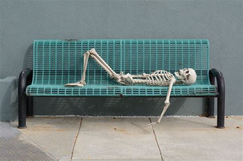 Skeleton On Bench Stock Photo Image Of Scary Resting 114382552