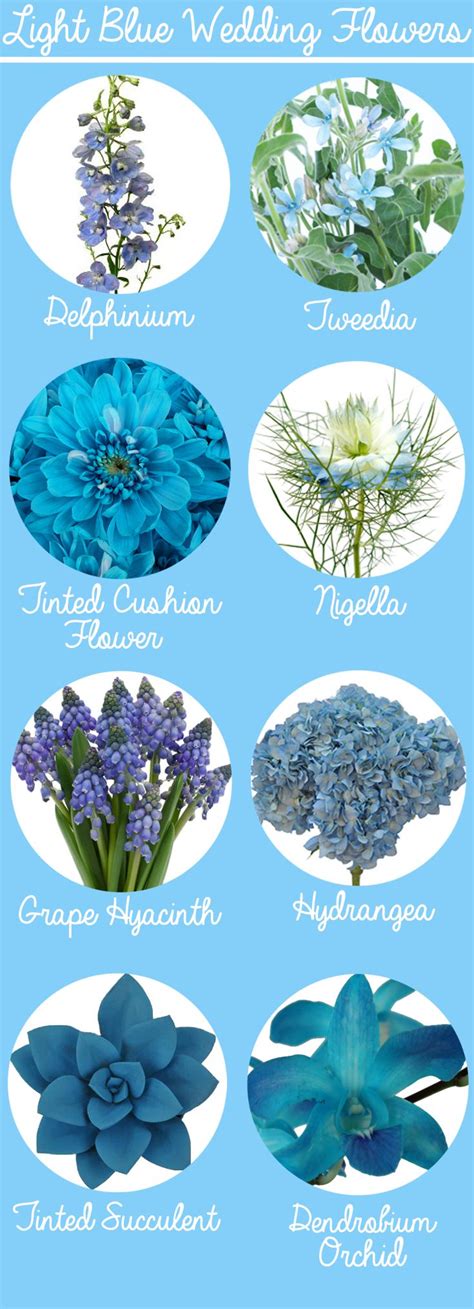 Shop For Flowers By Color At Blue