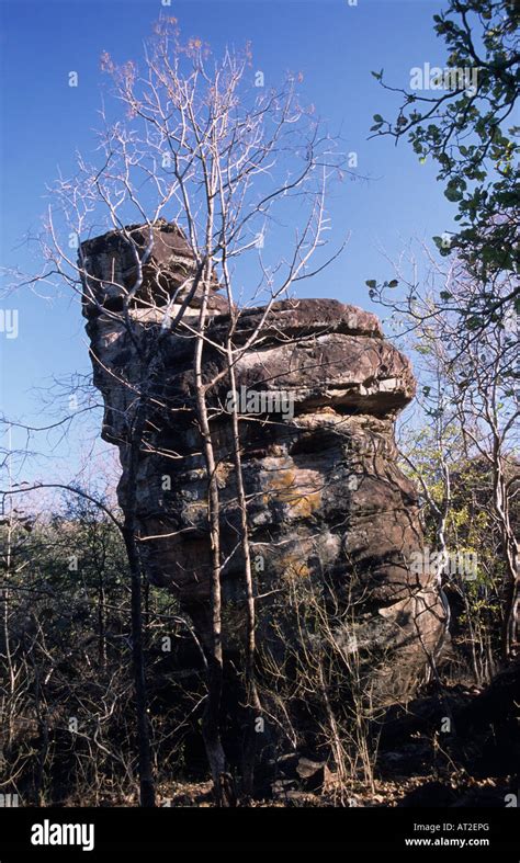 Bhimbetka Forest In Ratapani Sanctuary Of Raisen District Madhya