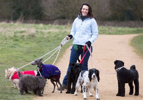 Parks Put Professional Dog Walkers On A Tight Leash With £300 Licence