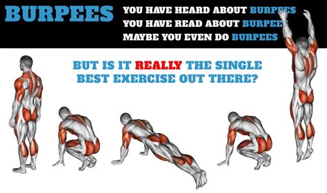 burpees what muscles do burpees work and burpees exercises and benefits nov 2023
