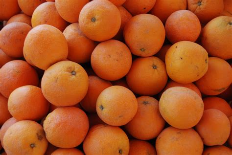 Free Images Food Produce Color Healthy Apricot Fruit Tree Tasty