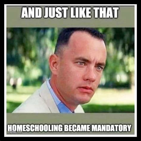 30 Funny Homeschool Memes And Remote Learning Humor