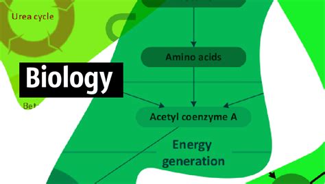 Biology Biology Symbols Biology Illustration Metabolism Diagram