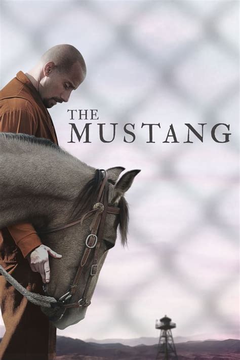 ดูหนัง Netflix The Mustang 2019 ม้าป่าแสนพยศ หนังเต็มเรื่อง ฟรีhd