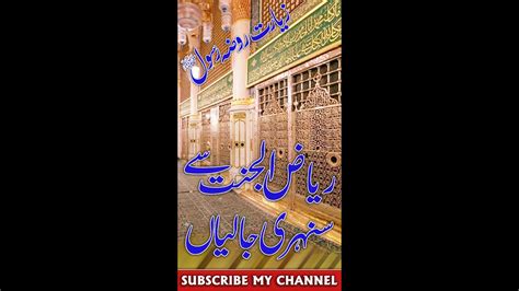 روضہ رسول صلى الله عليه واله وسلم کی سنہریاں جالیاں دیکھیں YouTube