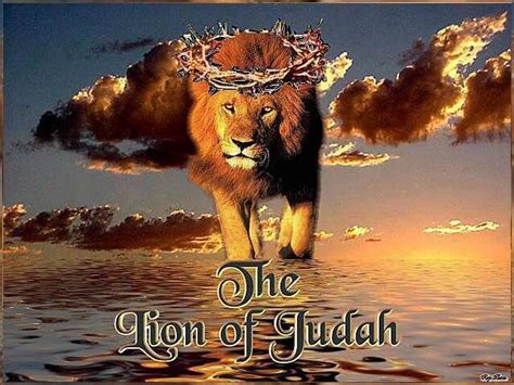 The Lion Of Judah He Is Coming Jesus Is Coming Jesus Is Lord Jesus