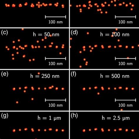 Simulation Of The Ion Distribution For A Line Of Ten Implantation