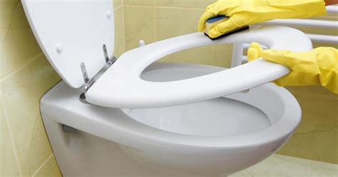 Urine stains on your toilet bowl? How to Clean a Very Stained Toilet Bowl - Clean and Tidy ...