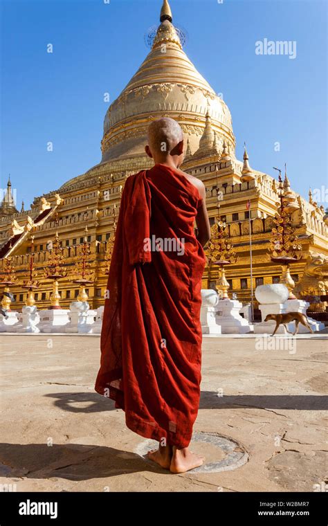 Monk At Prayer Spot Shwezigon Pagoda Bagan Pagan Myanmar Burma