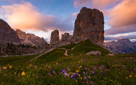 Cinque Torri And Dolomites Veneto Italy Wildflowers Sunset Pink Flowers