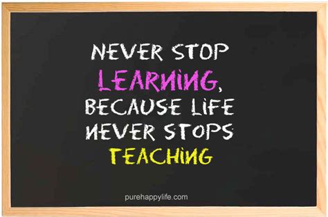 Never Stop Learning Quotes Quotesgram