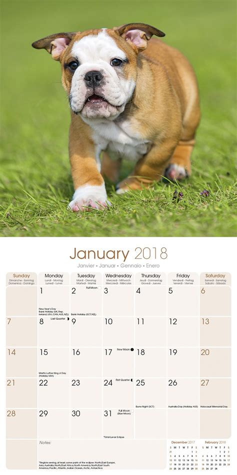 Bulldog Calendar 2018 Pet Prints Inc