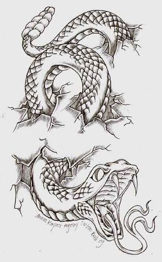 Rose Tattoo Drawings Desenhos De Cobras Desenho De Cobra Desenhos