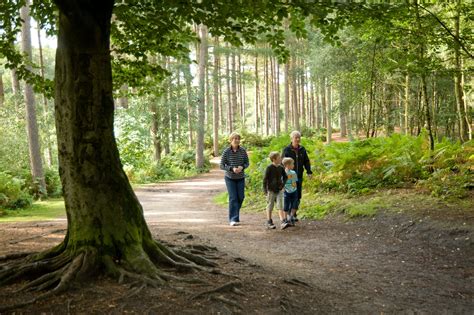 Walking Trails At Bellever Forest Forestry England