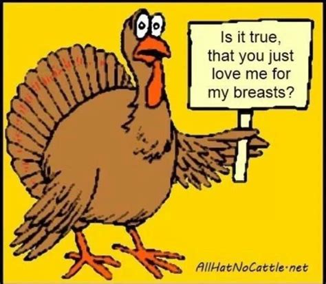 Jokes Funny Thanksgiving Quotes For A Smile Shortquotescc