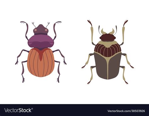 Bug Species Set Top View Of Beetles Insects Cartoon Vector