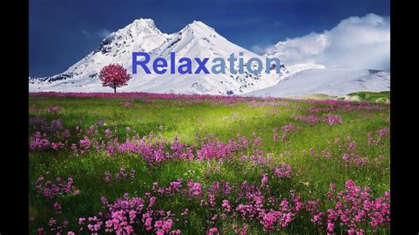 La sophrologie pour aborder les examens et les concours avec sérénité. Séance de Sophrologie, relaxation guidée pour Détente et ...