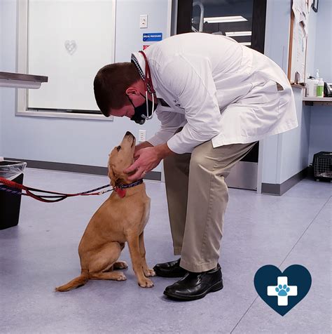 Dr.... - Cornerstone Veterinary Hospital of Clifton Park