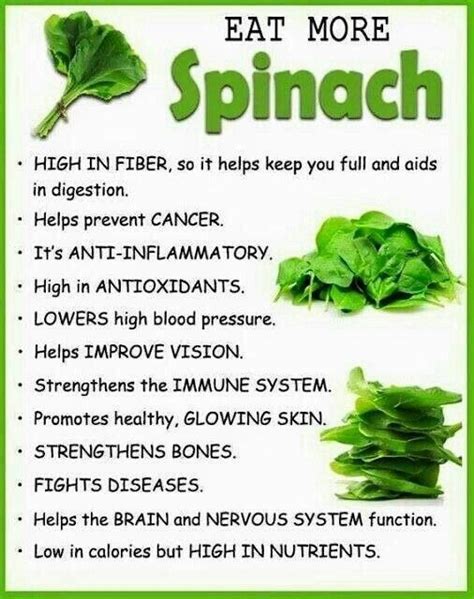Spinach Health Benefits Of Lime Spinach Health Benefits Spinach