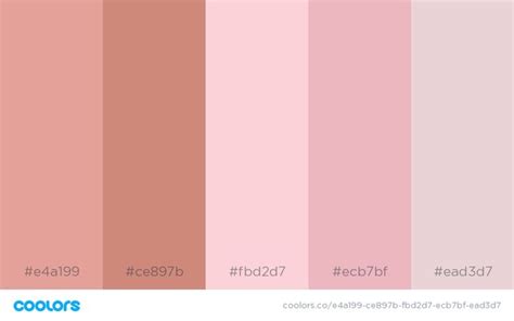 Millennial Pink Hex Codes Trending Decor Color Palette Pink Rose