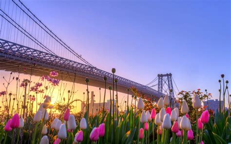 Spring New York Wallpapers Top Free Spring New York Backgrounds