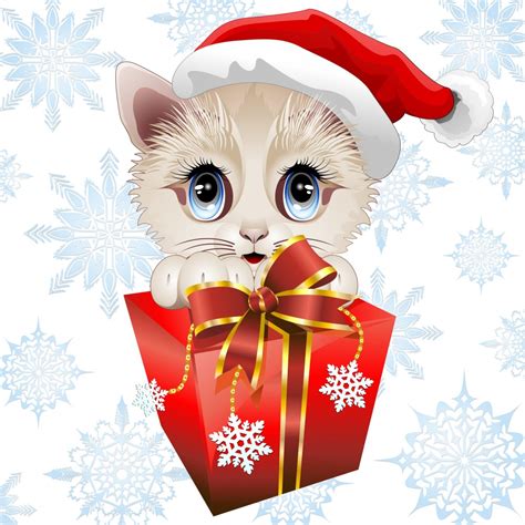 Funny Cat Christmas Wallpaper Wallpapersafari