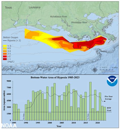 Noaa And Partners Announce Below Average ‘dead Zone Measured In Gulf