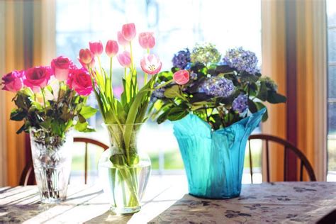 5 Pasi Simpli Pentru A Pastra Florile In Vaza Mai Mult Timp