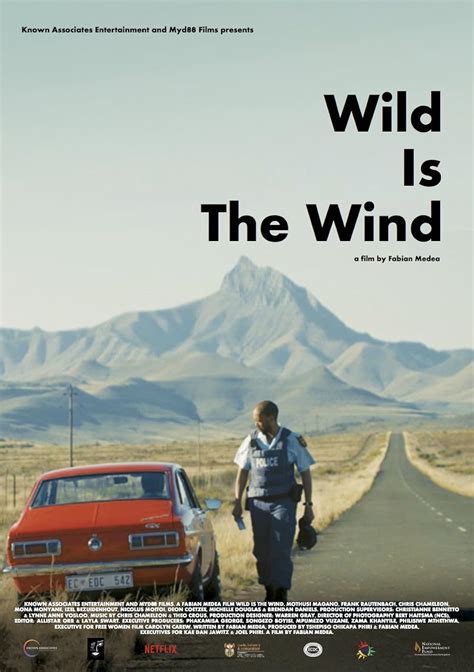 Wild Is The Wind IMDb