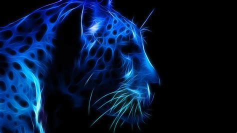 The profile picture is located close to the username and bio, so you want to take it seriously. Leopard Profile Face 1920 x 1080 HDTV 1080p Wallpaper