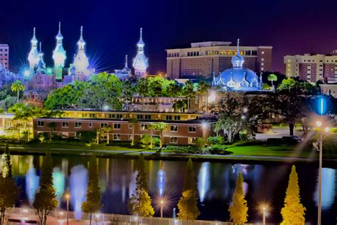 Top 10 Professors At The University Of Tampa Oneclass Blog