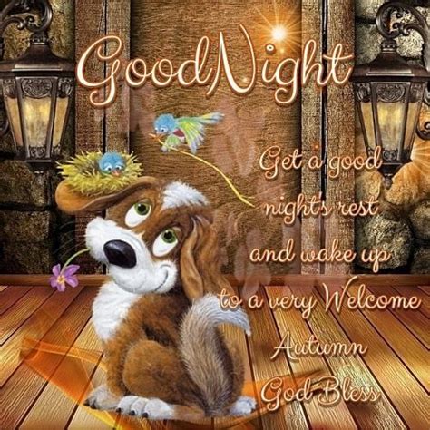 I Hope You Had A Great Day And A Nice Blessed Evening 🙋🌻🌷🙏🇺🇸🤗🍀 Good Night Blessings Good