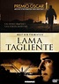Lama Tagliente: Amazon.it: Duvall Robert, Ritter John, Jarmusch Jim ...