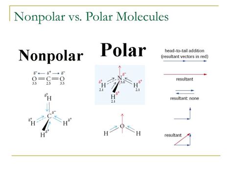 Are Molecules Of The Following Compounds Polar Or Nonpolar