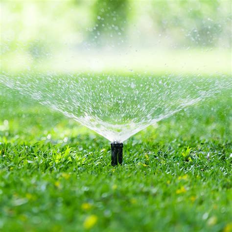 Getting started with lawn fertilizer. Lawn Care: How Much to Water Your Lawn | Cardinal Lawns