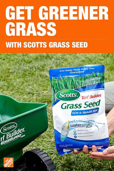 Grow Thicker Greener Grass Quicker With Grass Seed Made To Withstand