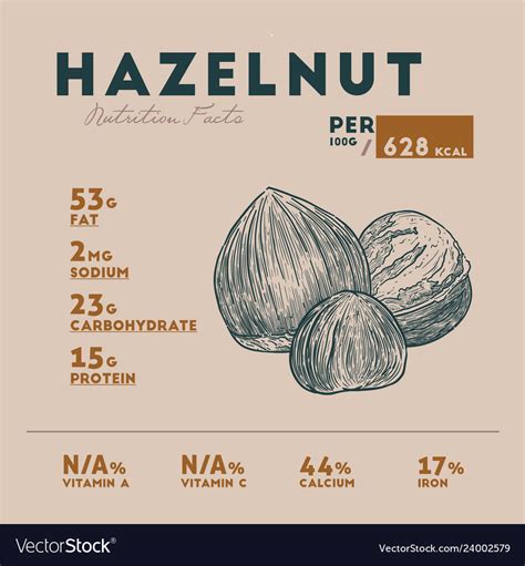 Nutrition Fact Of Hazelnut Hand Drawn Royalty Free Vector