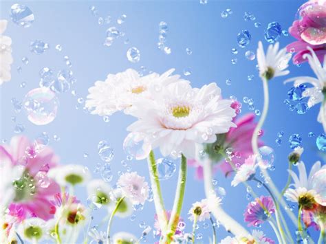 20 Perfect Desktop Wallpapers Flowers You Can Use It At No Cost