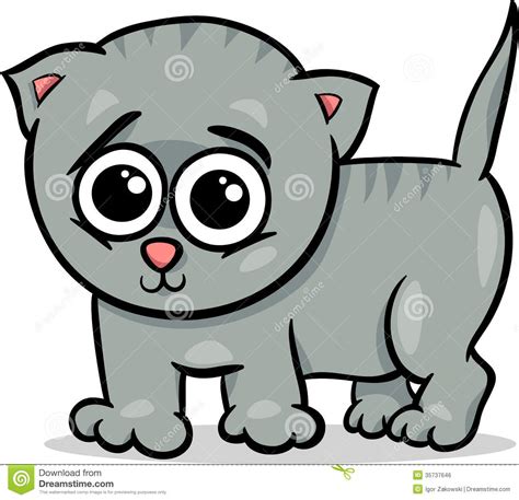 Baby Cat Kitten Cartoon Illustration Royalty Free Stock