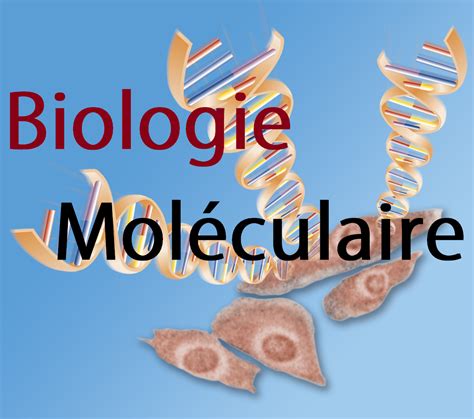 Biologie Moléculaire ~ Scientific Books