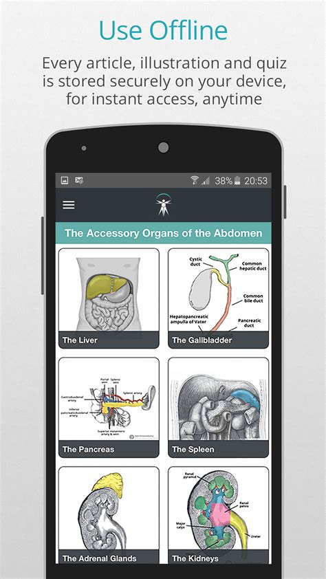Teach Me Anatomy For Android Apk Download