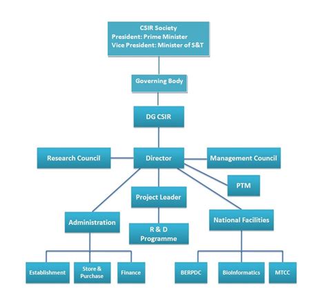 Organizational Structure Chart Types
