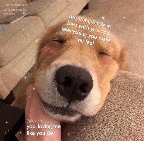 Aaaw R Wholesomememes Wholesome Memes Know Your Meme