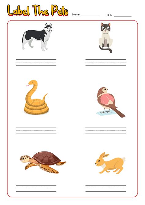 14 Best Images Of Pet Animal Worksheets Preschool Pets Preschool E51