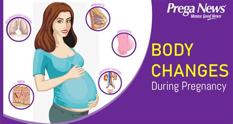 Changes In Body During Pregnancy