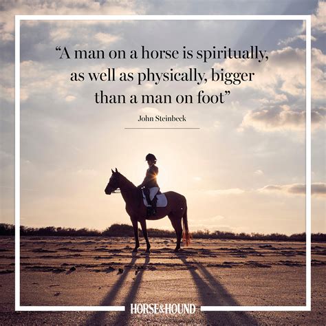 42 Horse Race Quotes To Inspire Your Passion For Racing