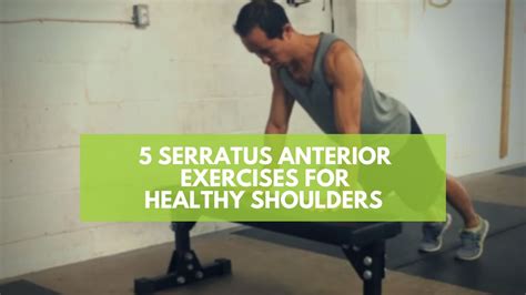 5 Serratus Anterior Exercises For Healthy Shoulders Serratus Anterior