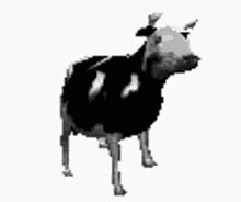 Share a gif and browse these related gif searches. Dancing Cow GIFs | Tenor